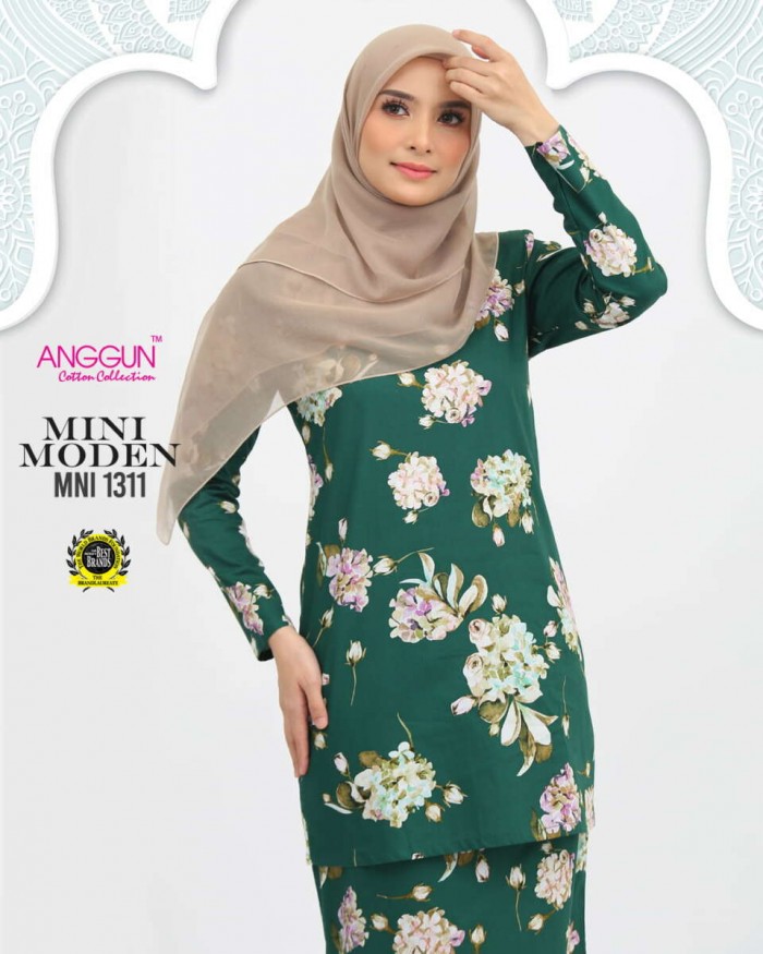 MNI 1311